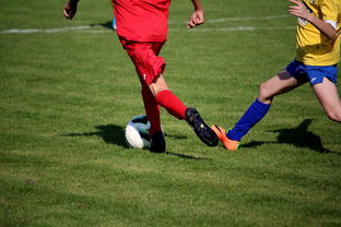 开云综合服务-国家体育场馆运营管理论坛探讨智能化方向,国家体育总局体育场馆运营管理办法 第1张 开云综合服务-国家体育场馆运营管理论坛探讨智能化方向,国家体育总局体育场馆运营管理办法 第1张